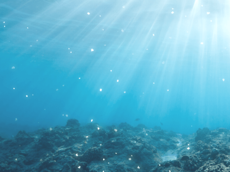 Mensagem: A Luz da&nbsp;Alma