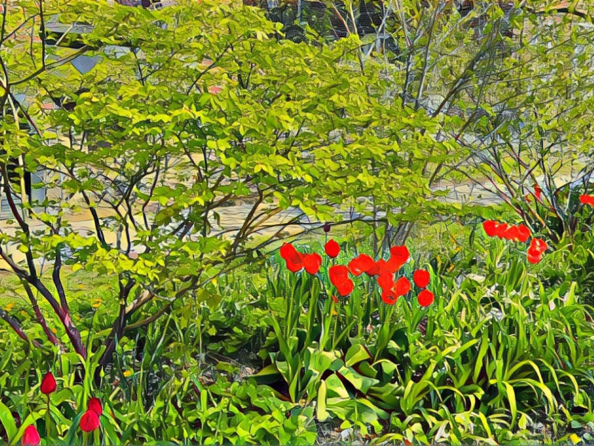 Só o amor é&nbsp;real